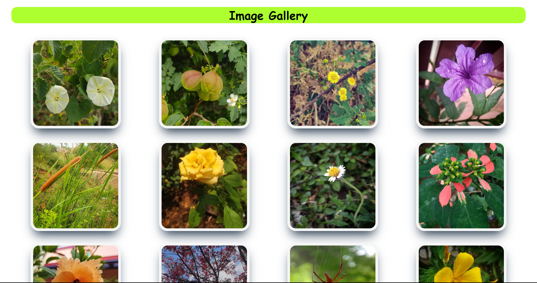 Image Gallery Screenshot